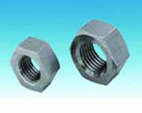 Stainless steel nut