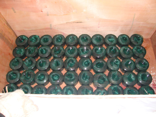 Fangjiashan nuclear power with bolt and nut